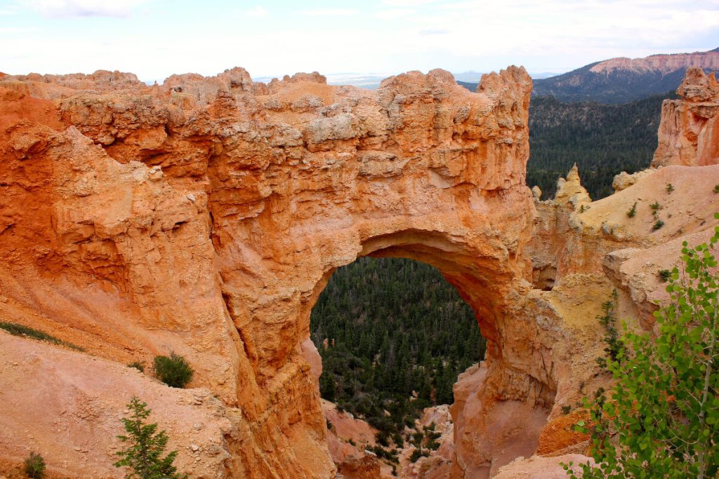 Natural Bridge